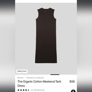 Everlane Cotton Weekend Dress